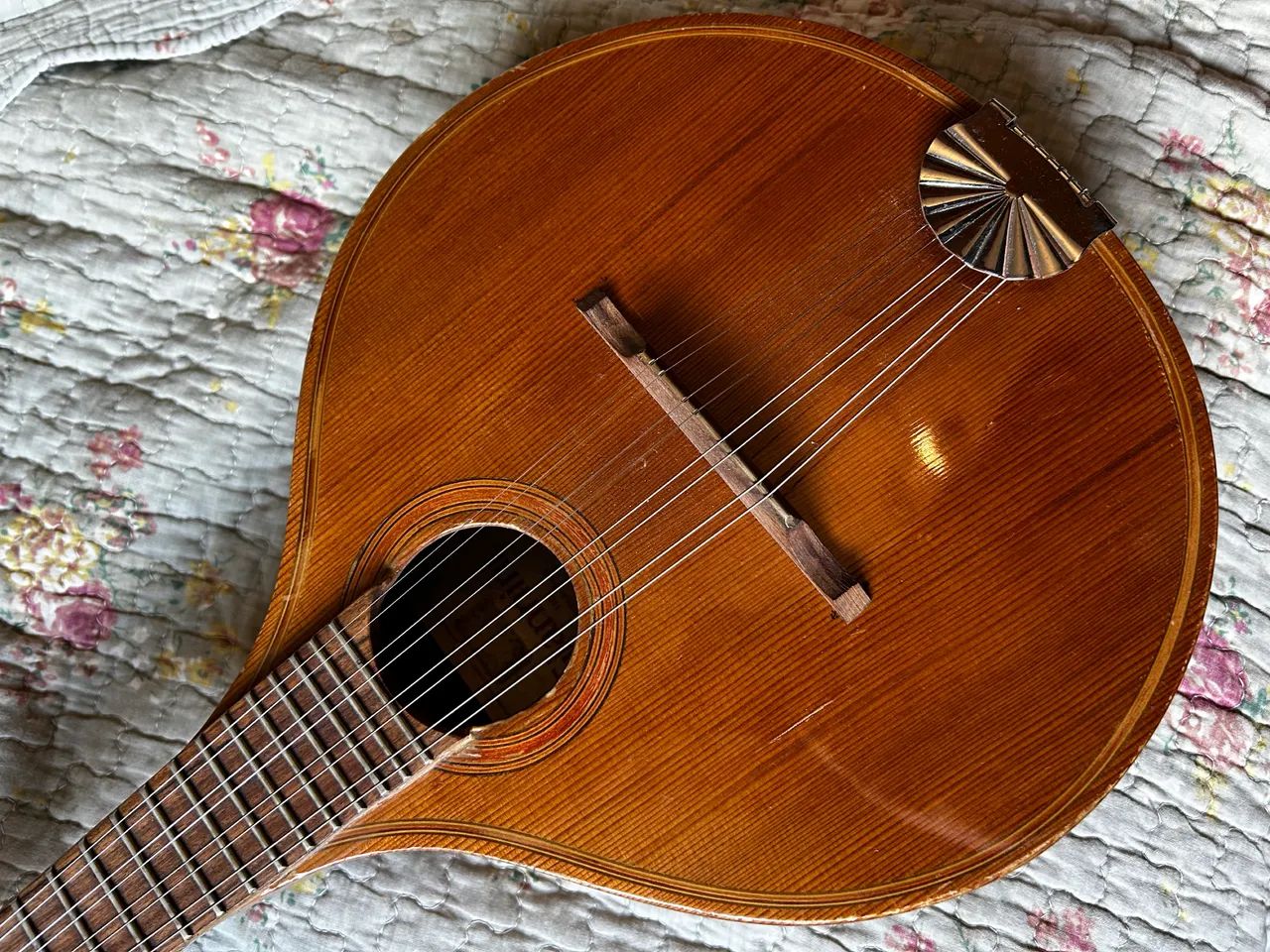 Bandolin Giannini raridade  - Foto 5
