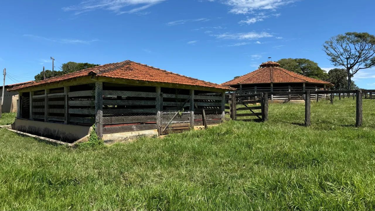 Chácara em Morrinhos  - Foto 5