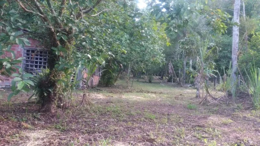 Linda chácara no Distrito de Alexandra - Foto 3