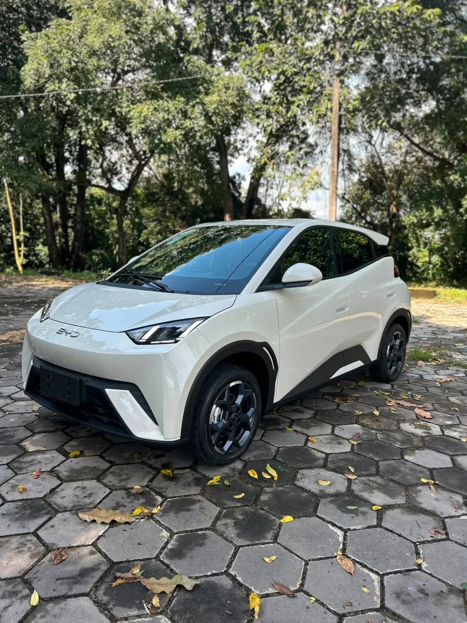 BYD Dolphin Mini (Elétrico) 2027 - Foto 3