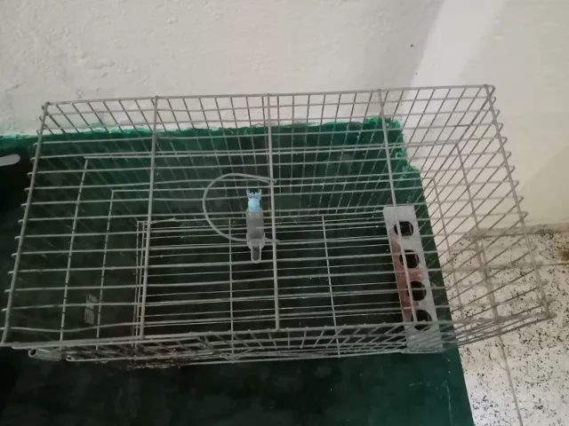 Gaiolas para Passarinho - Foto 3