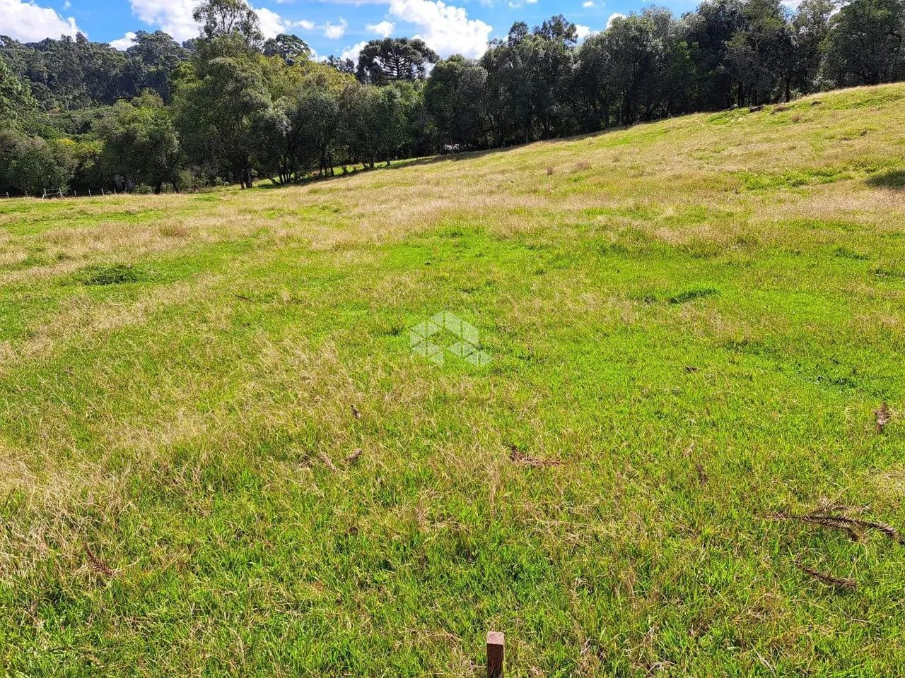 Chácara na Linha Vicentina - Foto 3