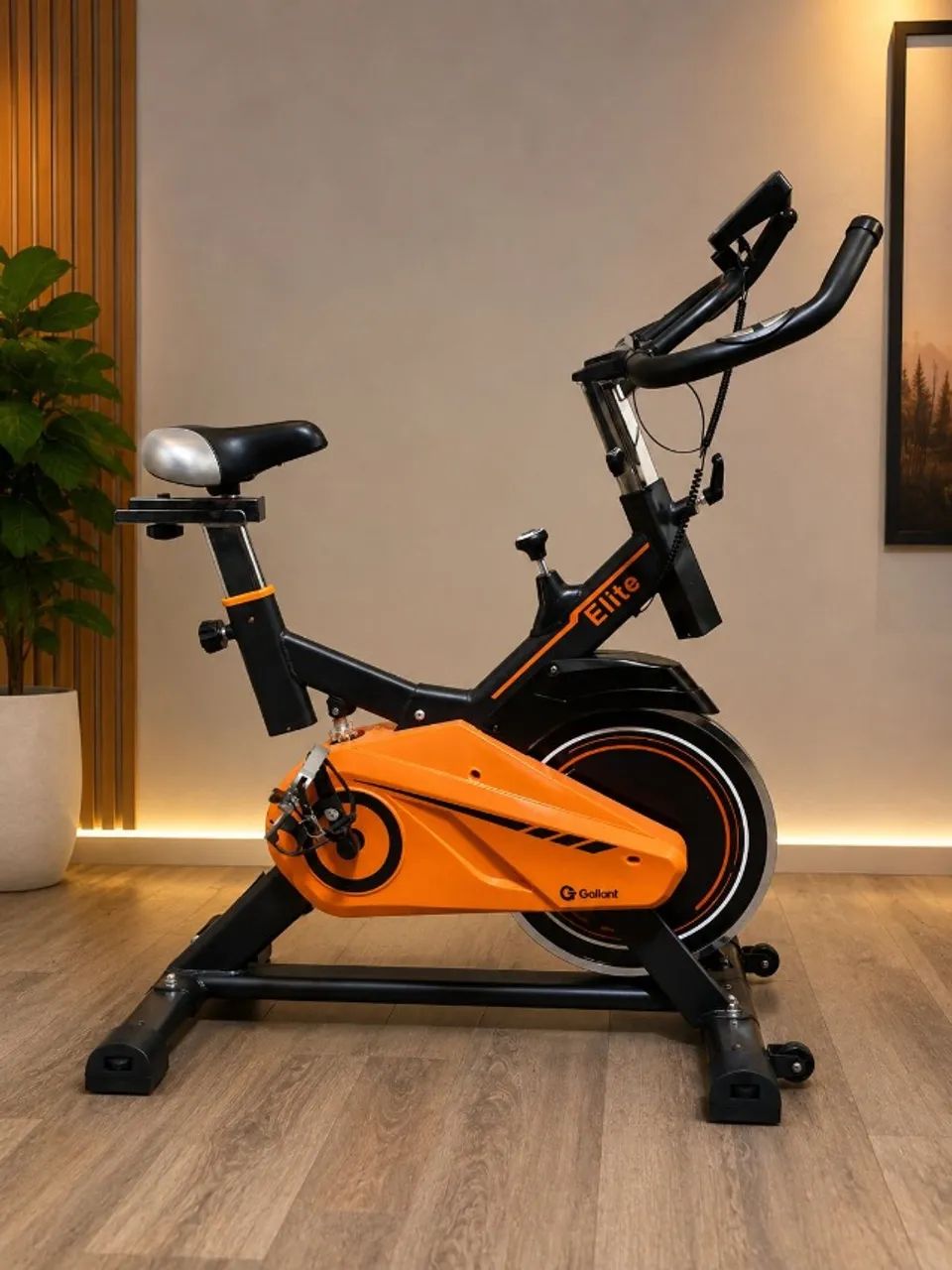 Bicicleta Spinning Gallant Elite