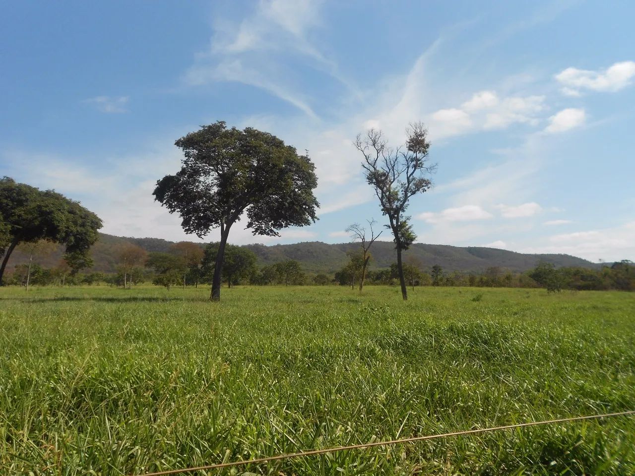FAZENDA - 1.400 HECTARES.