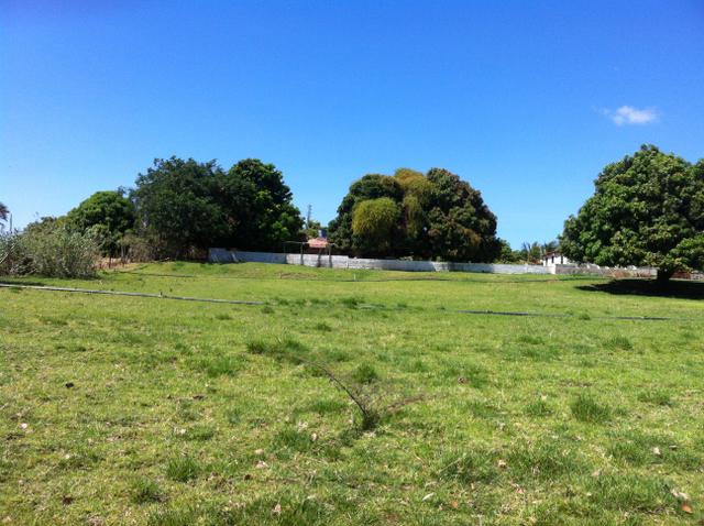 Fazenda Irrigada na Beira do Rio São Francisco - Foto 4