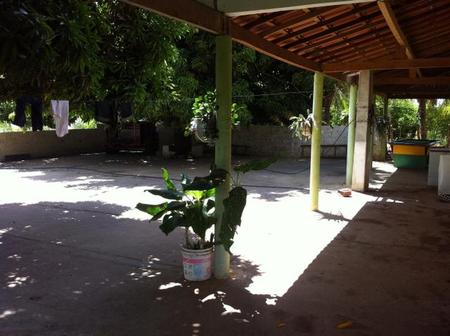 Fazenda Irrigada na Beira do Rio São Francisco - Foto 13