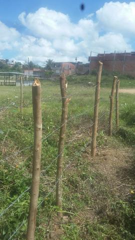 Terreno. todo plano em otimo local - Foto 2