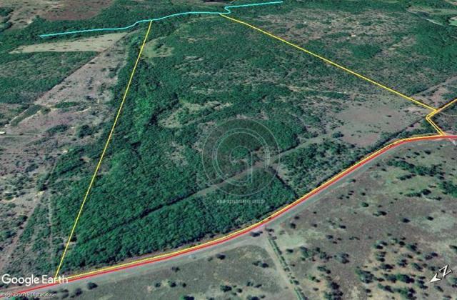 Fazenda 100 ha em acorizal - Foto 4
