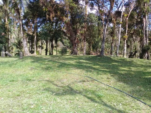 Chácara c/Terreno 6000m2 02 casas * 02 tanques c/ peixes Doc. ok - Foto 4