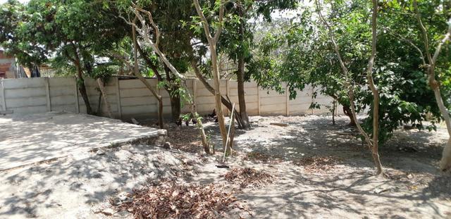 Chácara Quintas Bocaina Águas Lindas de Goias - Foto 16