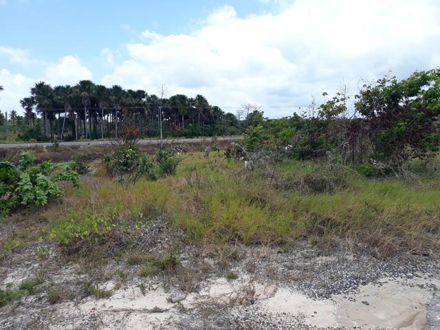 Terreno de esquina na estrada do Atalaia - Foto 2