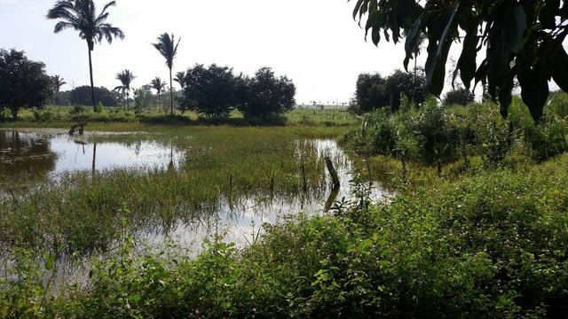 Fazenda na BR 135 - Foto 3