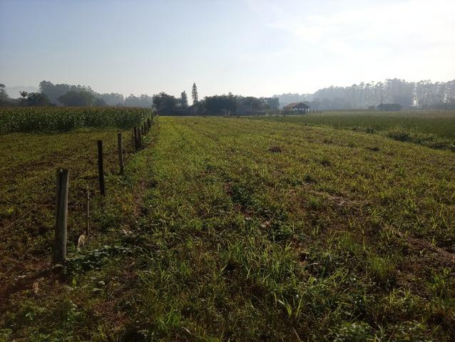 Alugo propriedade rural em pirabeiraba - Foto 5