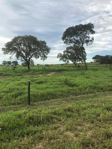 Fazenda 354 hectares, Município de Livramento/MT - Foto 6