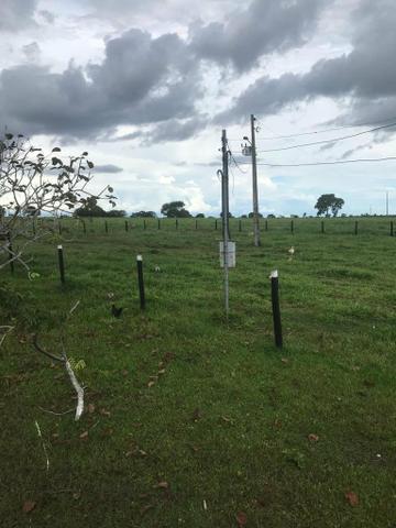 Fazenda 354 hectares, Município de Livramento/MT - Foto 9