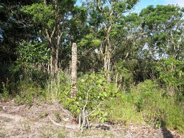 COD-116: Sítio em Bicuiba - Saquarema - Foto 10