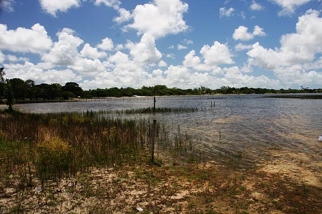 Vendo Área na Lagoa do Urubu - Nísia Floresta - RN - Foto 2