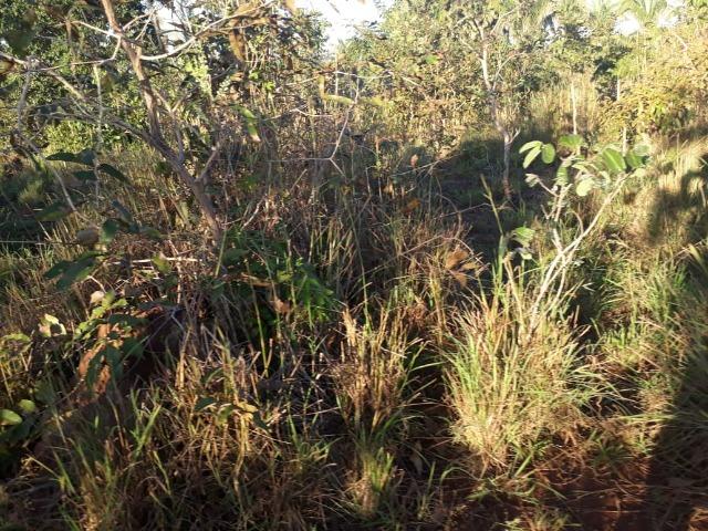 Chácara de 38,2 hectares, ha 66 km de Cuiabá, em Acorizal ! - Foto 14