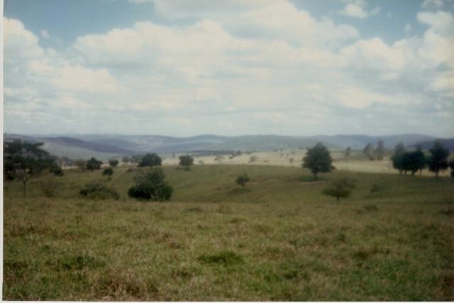 Vendo fazenda de Pecuária com 1.720 hectáres - Foto 2