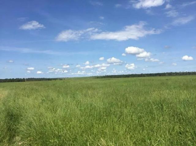 Fazenda - Foto 3