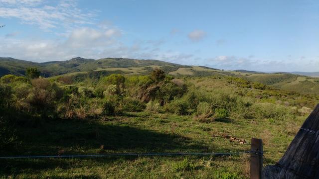 90 hectares de campo barato - Foto 3