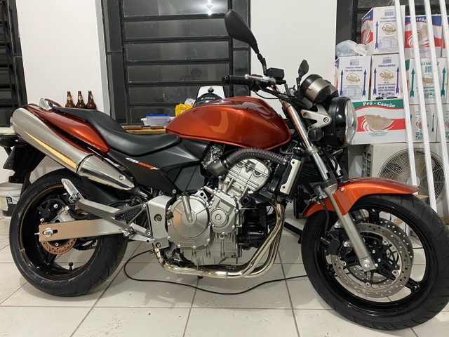HORNET DIFERENCIADA