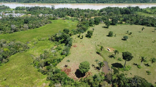 Terra em Lábrea 220 hectares  - Foto 3