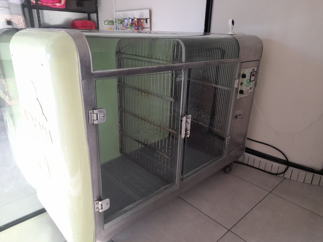 Máquina de secagem pet - Foto 2