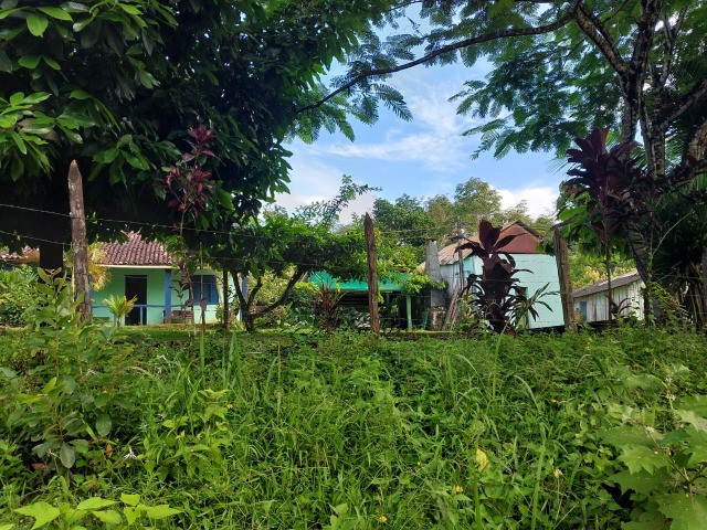 Arrendamento - Fazenda com 20 ha, Una-BA - Foto 5