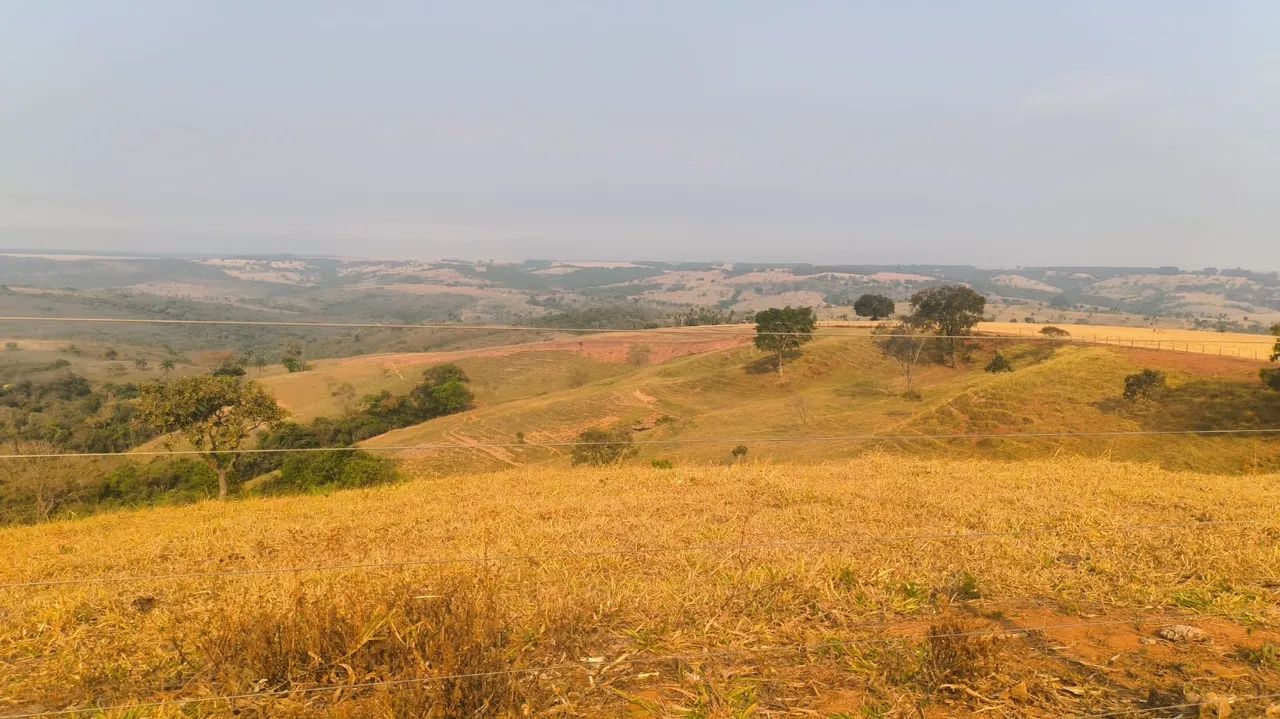 FAZENDA PRA PECUÁRIA EM ROMARIA  - Foto 4