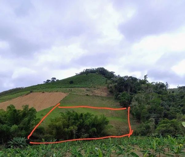 Oportunidade Única de Investimento: Terreno à Venda em Perobas, Domingos Martins! - Foto 2