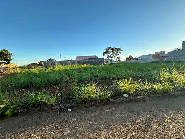 Lote na quadra 141B  - Foto 2