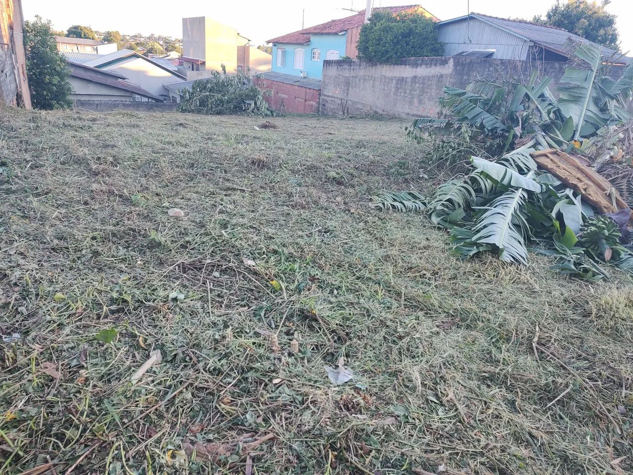 Jardinagem  - Foto 3