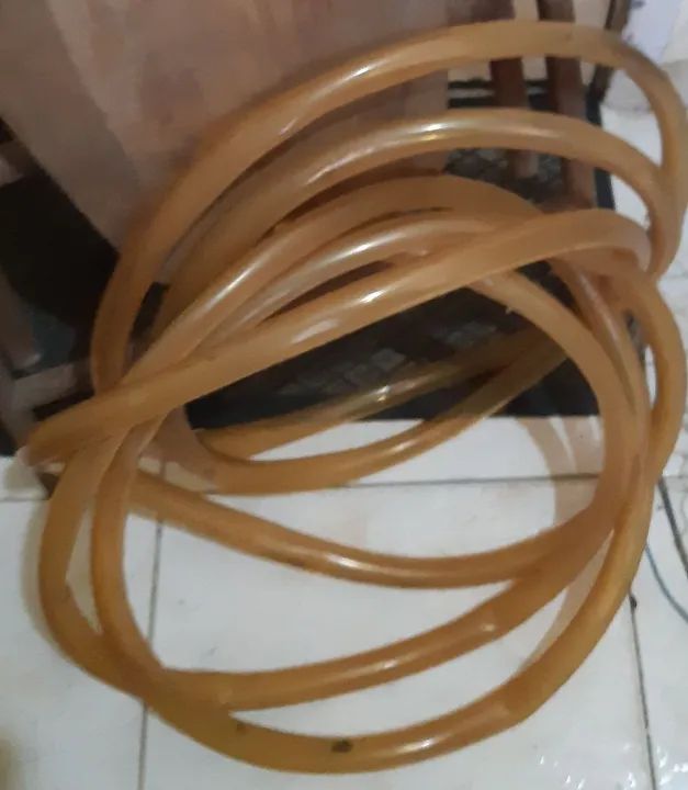 MANGUEIRA (BORRACHA )