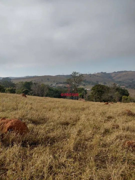 Terreno à venda, 20832 m² por R$ 1.100.000 - Barreiro - Taubaté/SP - Foto 8