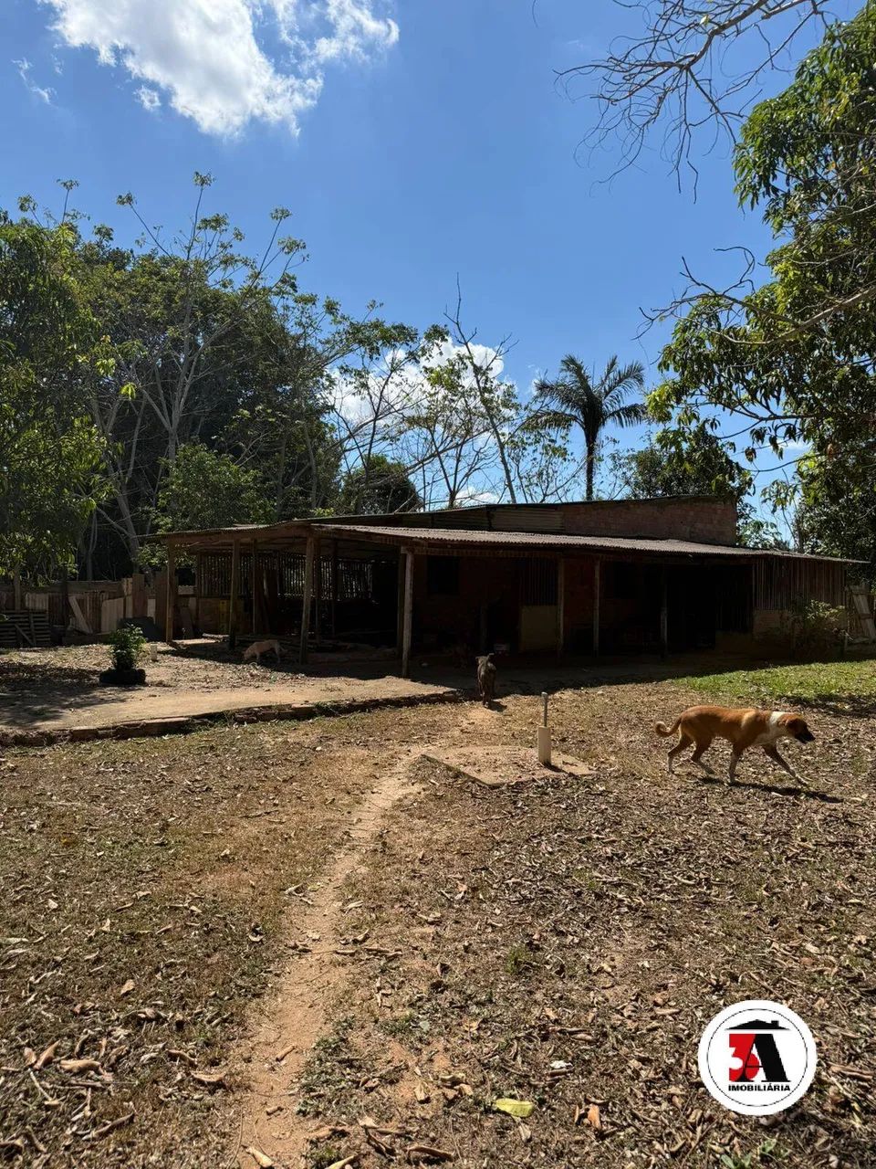 5.000M2 - Chacara Urbana (Zona Leste) - Foto 5