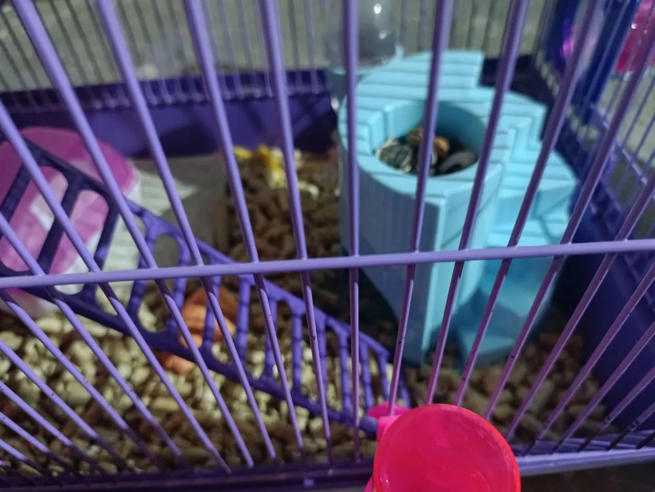 Gaiola para Hamster 3 andares - Foto 4