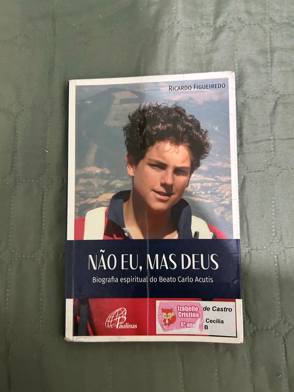 Vendo livro paradidático 