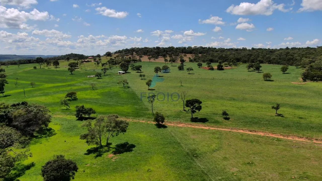 Sítio à Venda entre Bela Vista e São Miguel do Passa Quatro  GO - Foto 4