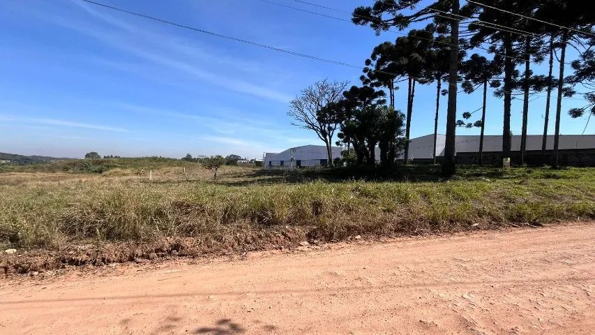 ÁREA EM SÃO JOSÉ DOS PINHAIS  - Foto 2