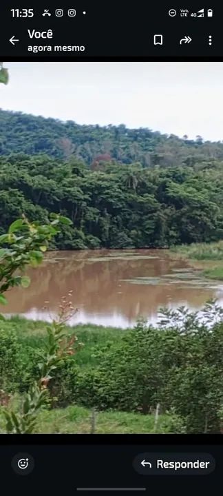 foto - Campinas - Jardim Leonor