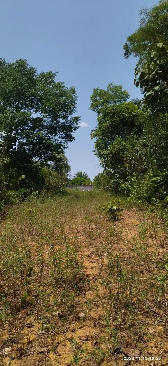 //Lote com 4000 M2 em Açutuba  - Foto 5