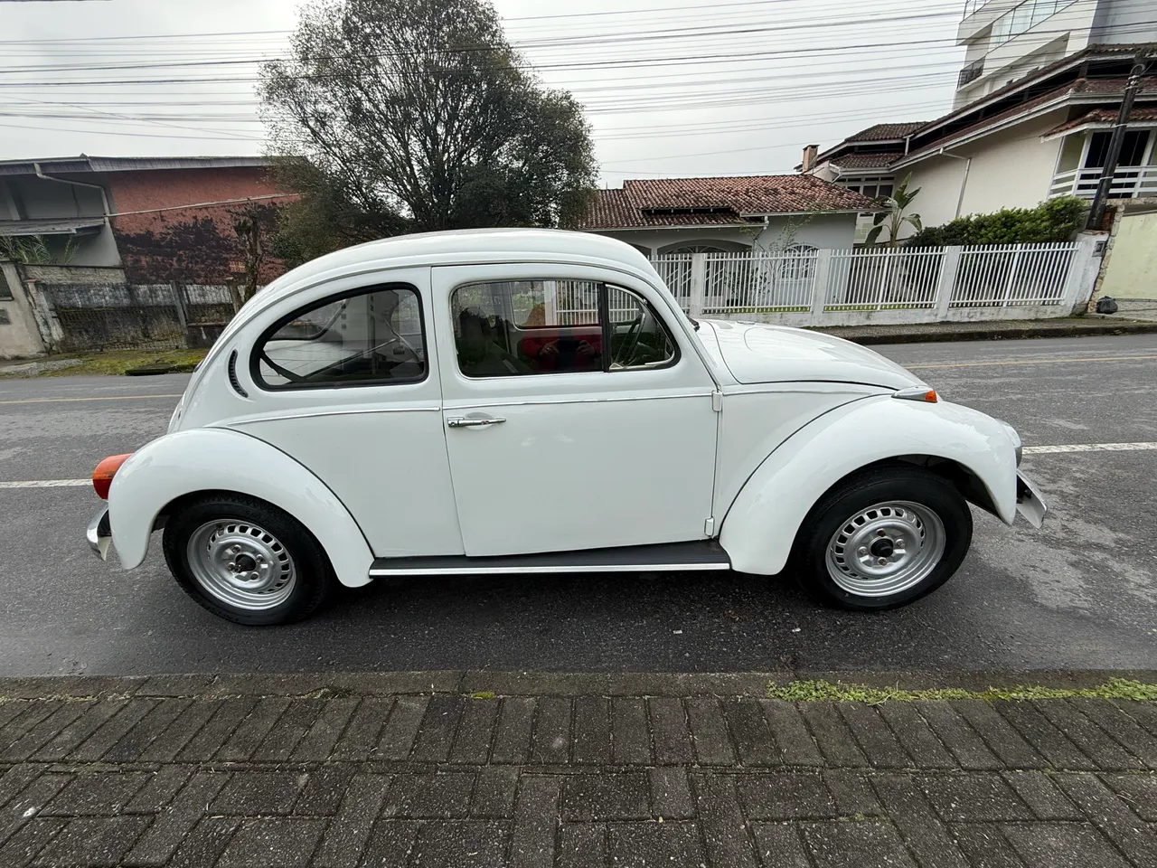 Volkswagen Fusca 1982 Usados e Novos em Florianópolis e região, SC