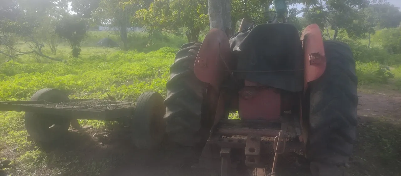 Trator Agrícola com Carreta