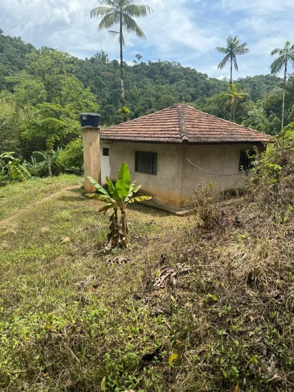 Fazenda Tapirai-sp 29 Alqueires