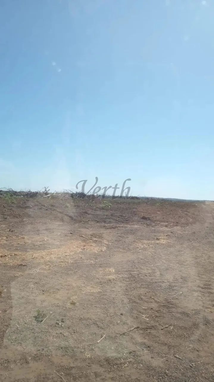 Fazenda à Venda  Santa Rita do Tocantins/TO - Foto 2