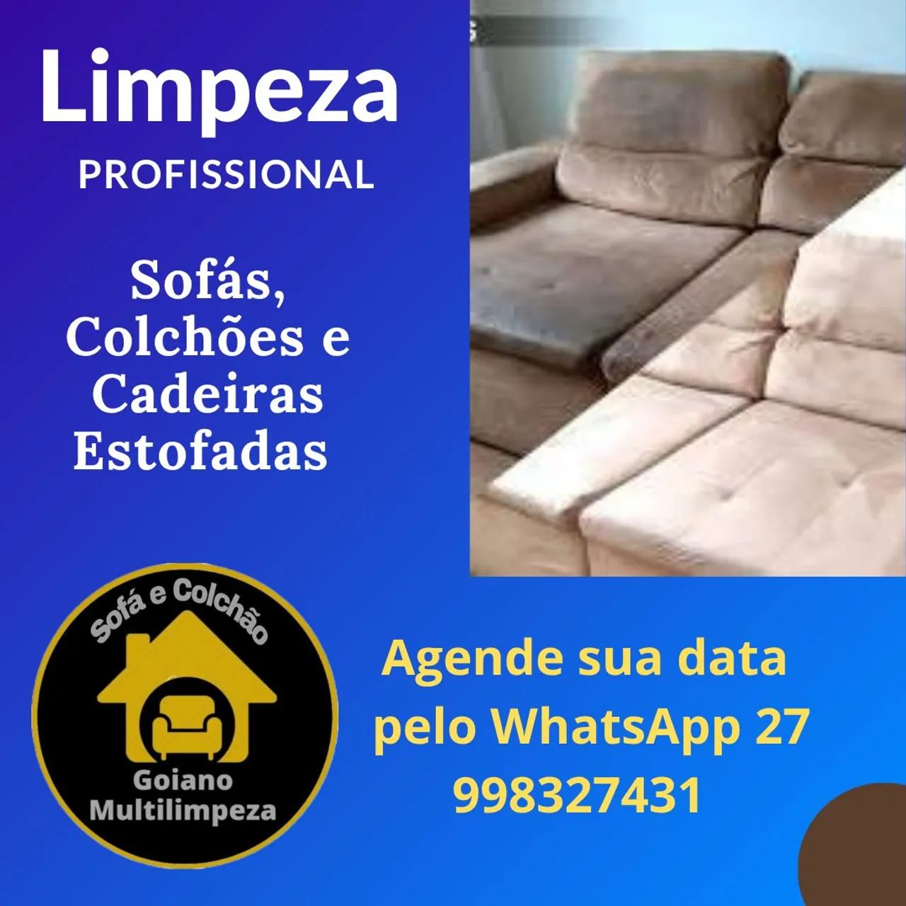 Limpeza Profissional 