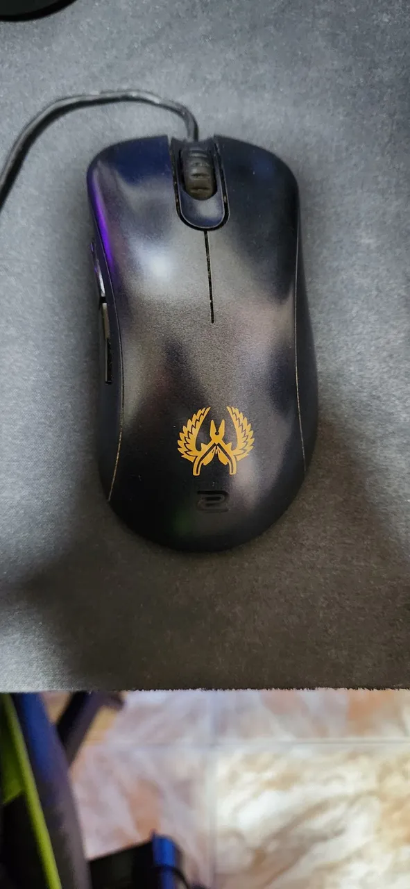 Zowie ec2b CSGO