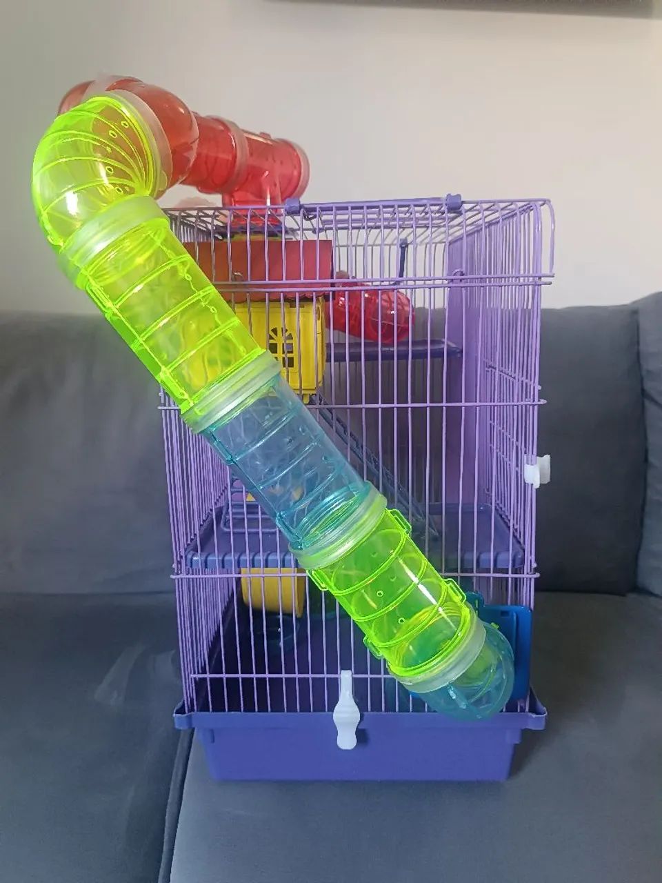 Casinha para Hamster 64842118004355123