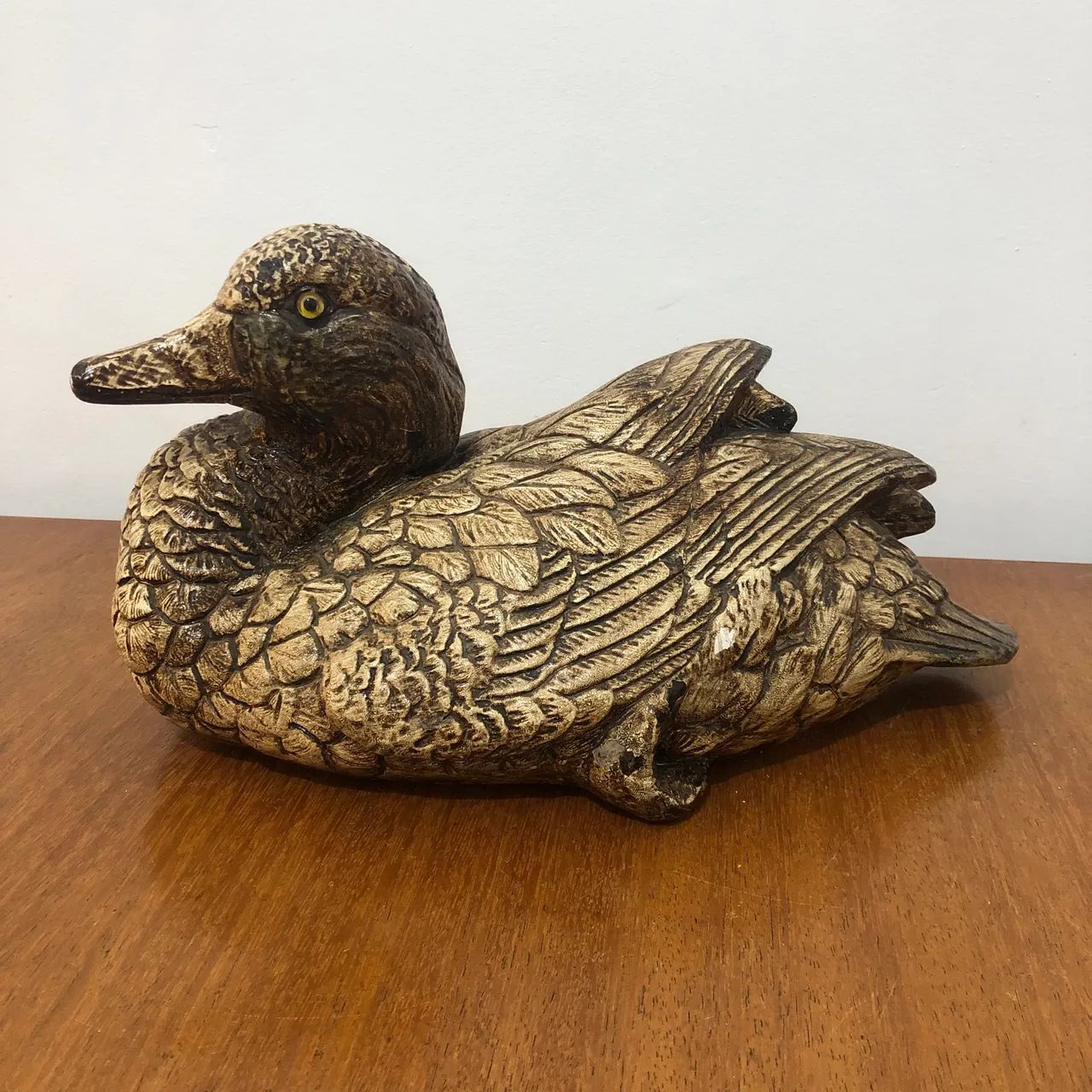 Pato selvagem